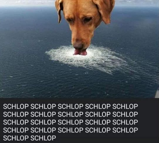 SCHLOP SCHLOP SCHLOP SCHLOP SCHLOP SCHLOP